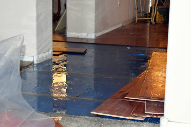 Professional Storm Water Damage Restoration technician working in Holbrook, MA